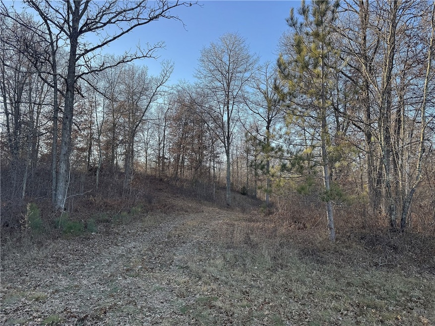 TBD N Pow Rd, Springbrook, WI 54875 - photo 1