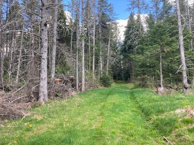 - Westview Rd, Stewartstown, NH 03576 - photo 1