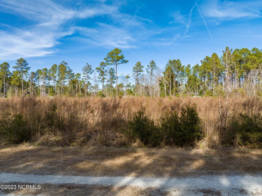 133 Douglas Dr, Holly Ridge, NC 28445 - photo 1