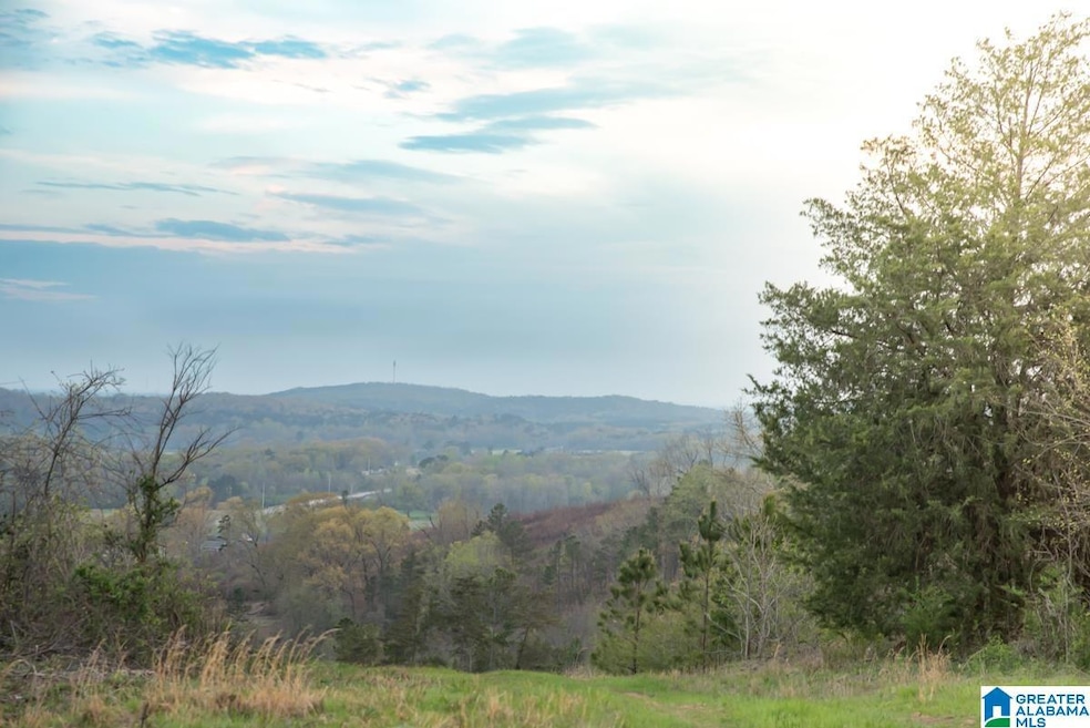 4947 U S 231 unit 5, Vincent, AL 35178 - photo 1