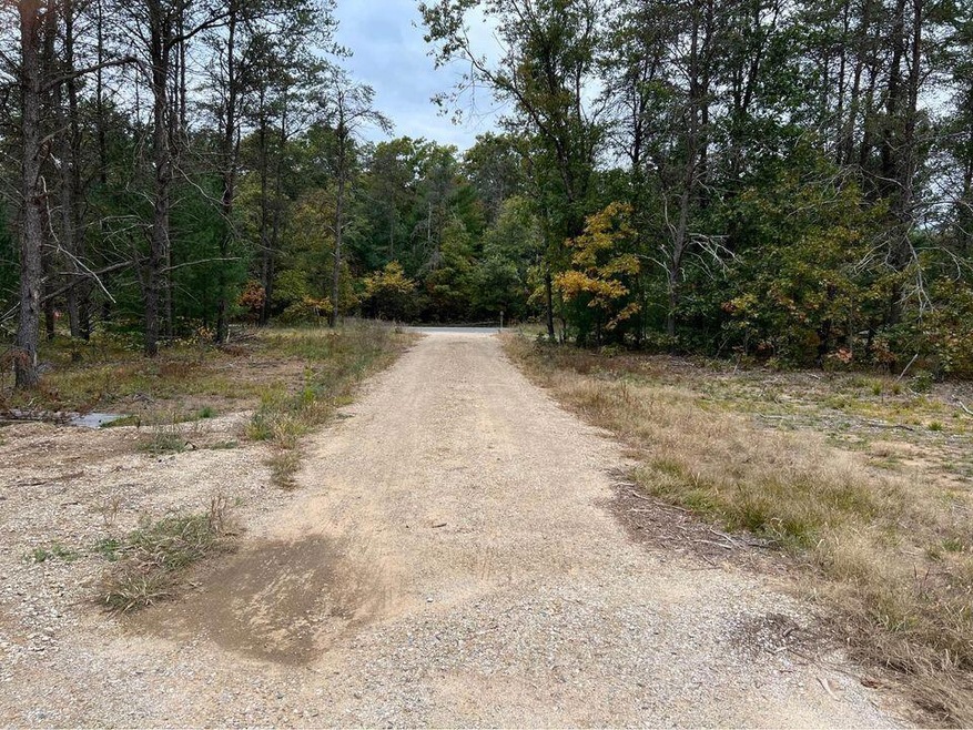 Newaygo 3