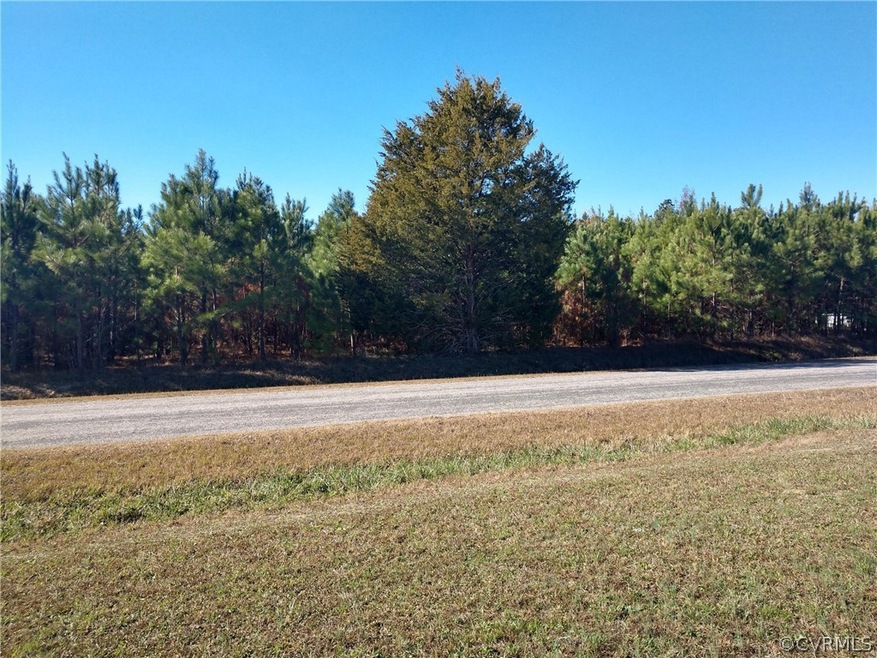 000 Mount Hope Rd, Prince George, VA 23875 - photo 1