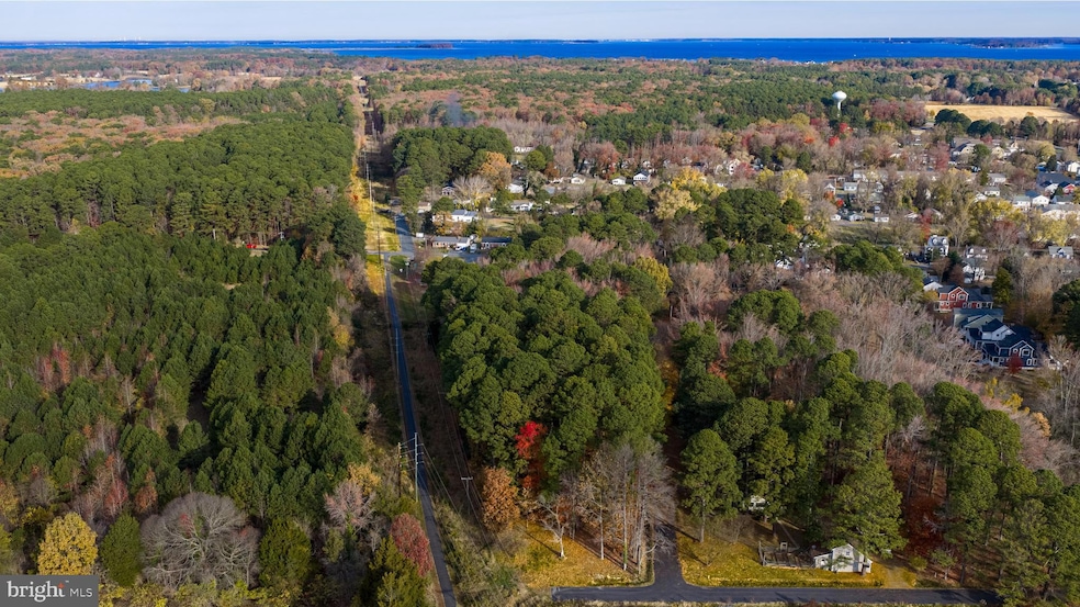 108 Miles, Saint Michaels, MD 21663 - photo 1