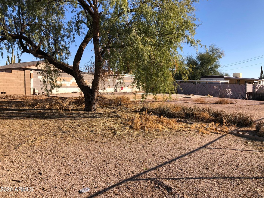 Ocotillo Lot