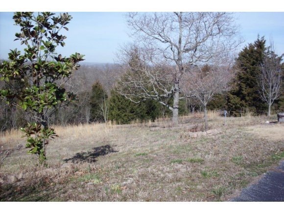 11 James View Rd, Kimberling City, MO 65686 - photo 1