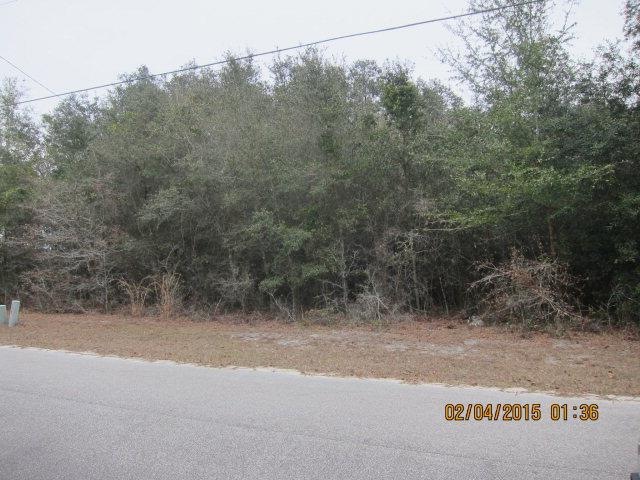 Lot 10 Scrub Oak Sub, Darien, GA 31305 - photo 1