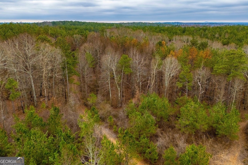 0 Bremen Mt Zion Rd Tracts 2a 2b, Waco, GA 30182 - photo 1