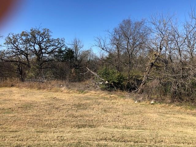 402 Roaring Fork Cir, Gordonville, TX 76245 - photo 1