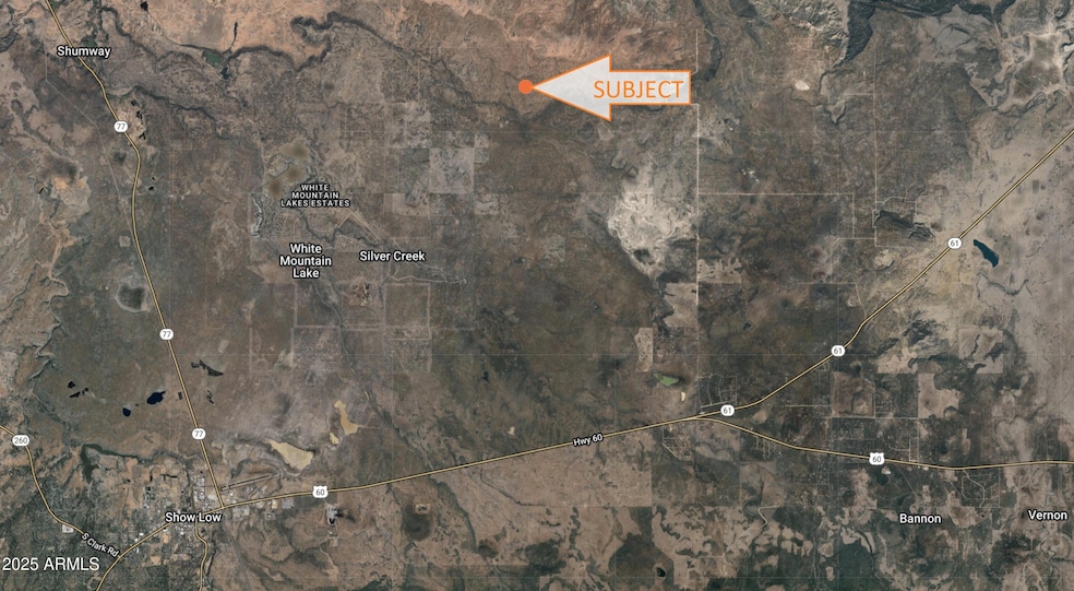 9529 Southern Ln, Show Low, AZ 85901 - photo 1