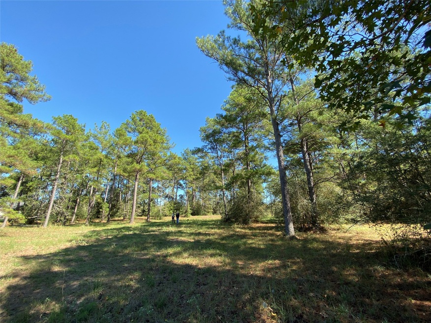 000 Tudor Way, Magnolia, TX 77355 - photo 1