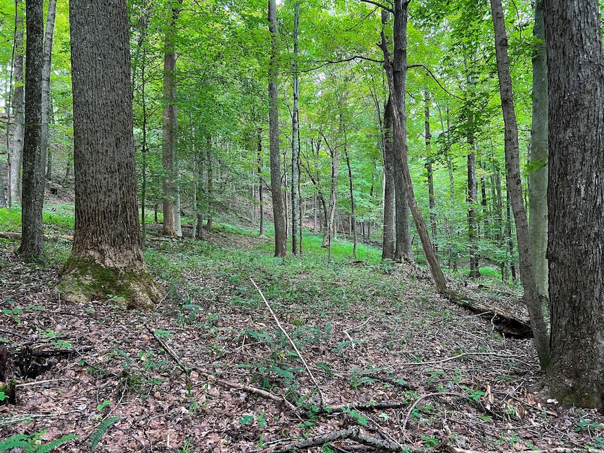 47/7 Do Rd unit Lot WP001, Harrisville, WV 26362 - photo 1