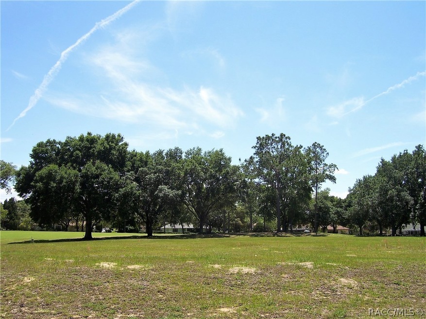 Level 1/2 acre golf lot.