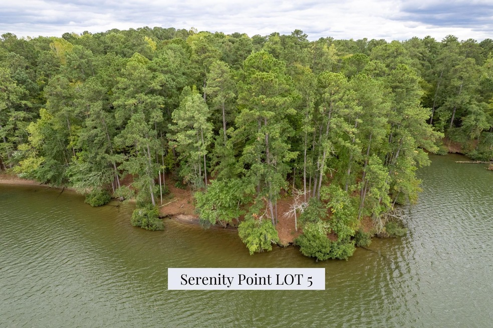 Lot 5 Serenity Point, Milledgeville, GA 31061 - photo 1