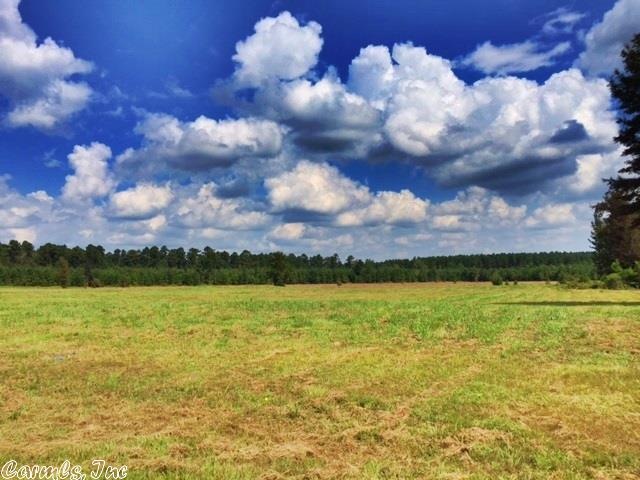 0 Arkansas 35, Sheridan, AR 72150 - photo 1