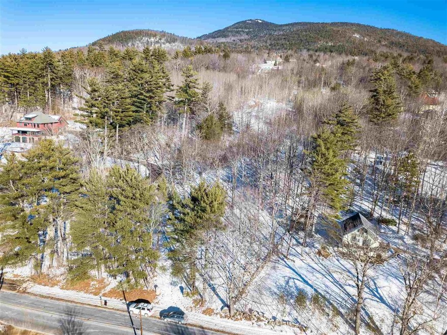 3.69 acres lot. Driveway already cut in