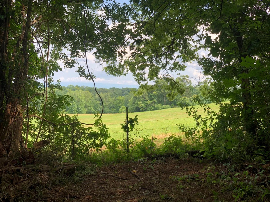 Amazing Views