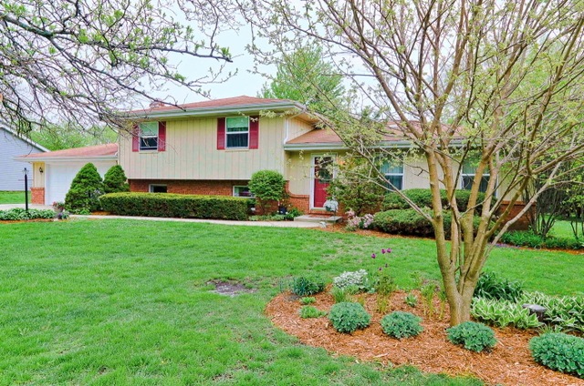 11S737 Schillinger Dr, Naperville, IL 60564 - photo 1