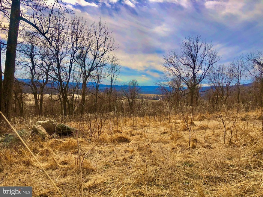 0 Forest Hill Ln unit VALO2023006, Bluemont, VA 20135 - photo 1