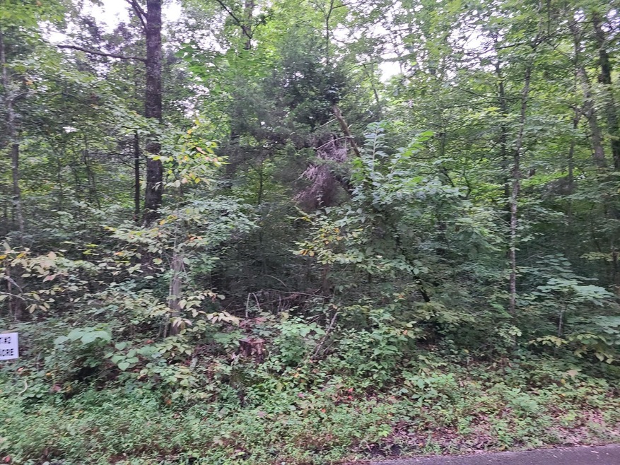 365 Burnside Hideaway Dr, Burnside, KY 42519 - photo 1