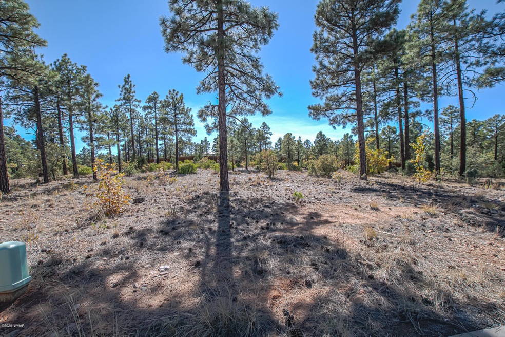 441 E Huckleberry Ln, Show Low, AZ 85901 - photo 1