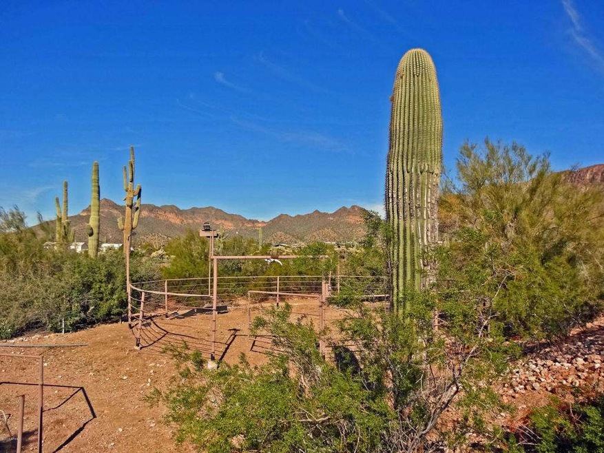 Welcome Home to Your New Ranch!