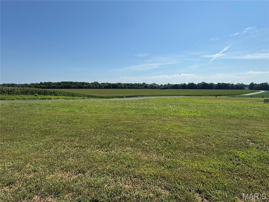 3402 Arbor View Ct, Freeburg, IL 62243 - photo 1