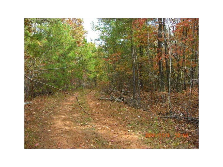 11013 Dogwood Dr, Villa Rica, GA 30180 - photo 1