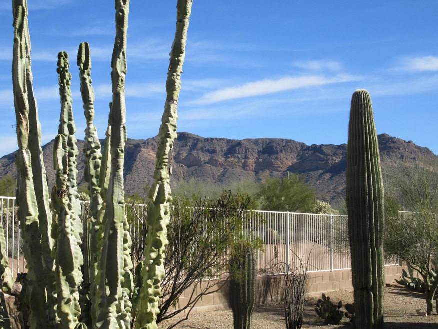 PASS MOUNTAIN FROM YOUR BACK YARD