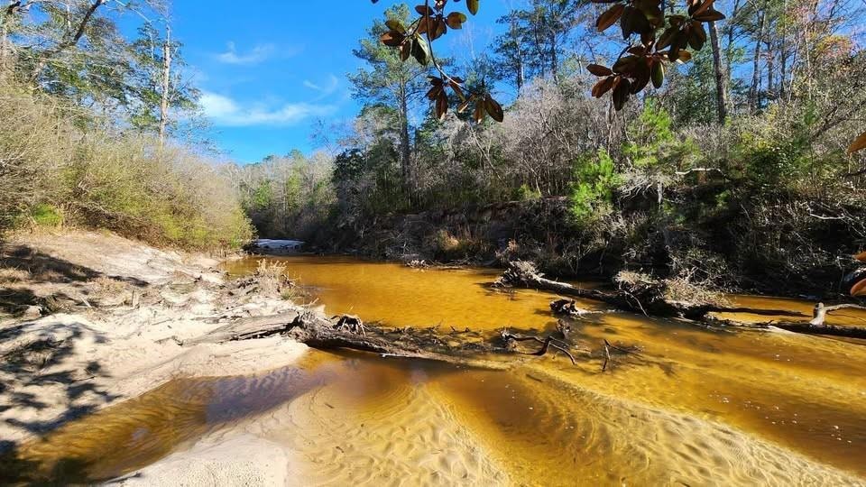 unlisted-address, Eight Mile, AL 36613 - photo 1