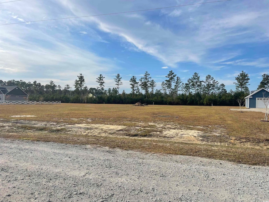 1709 Hemingway Rd, Loris, SC 29569 - photo 1