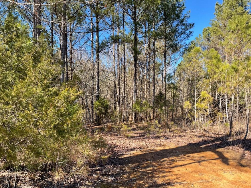 TBD County Road 447, Oxford, MS 38655 - photo 1