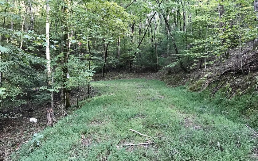 0 Ezra Ct unit 282556, Ellijay, GA 30540 - photo 1