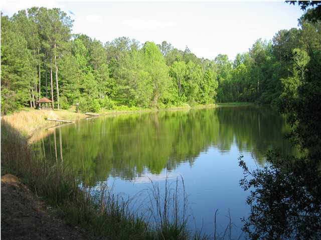 Stocked Lake