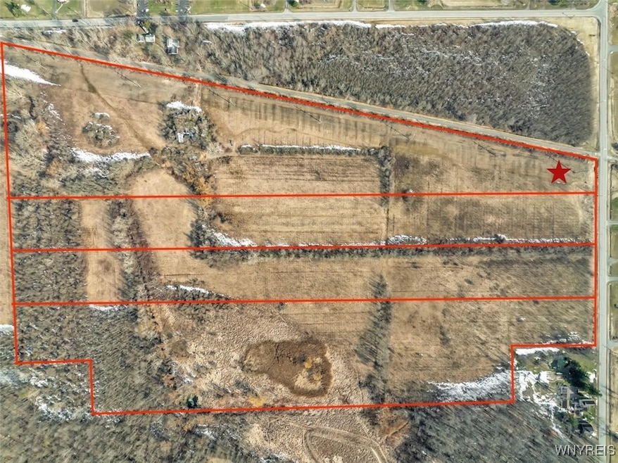 Possible Subdivision Lines