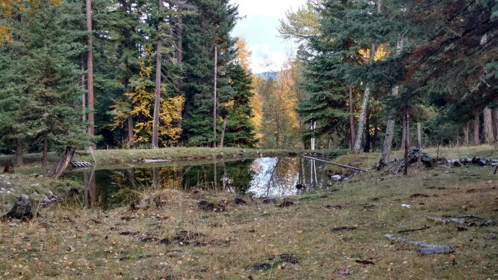 IMG_20171011_170438843_HDR