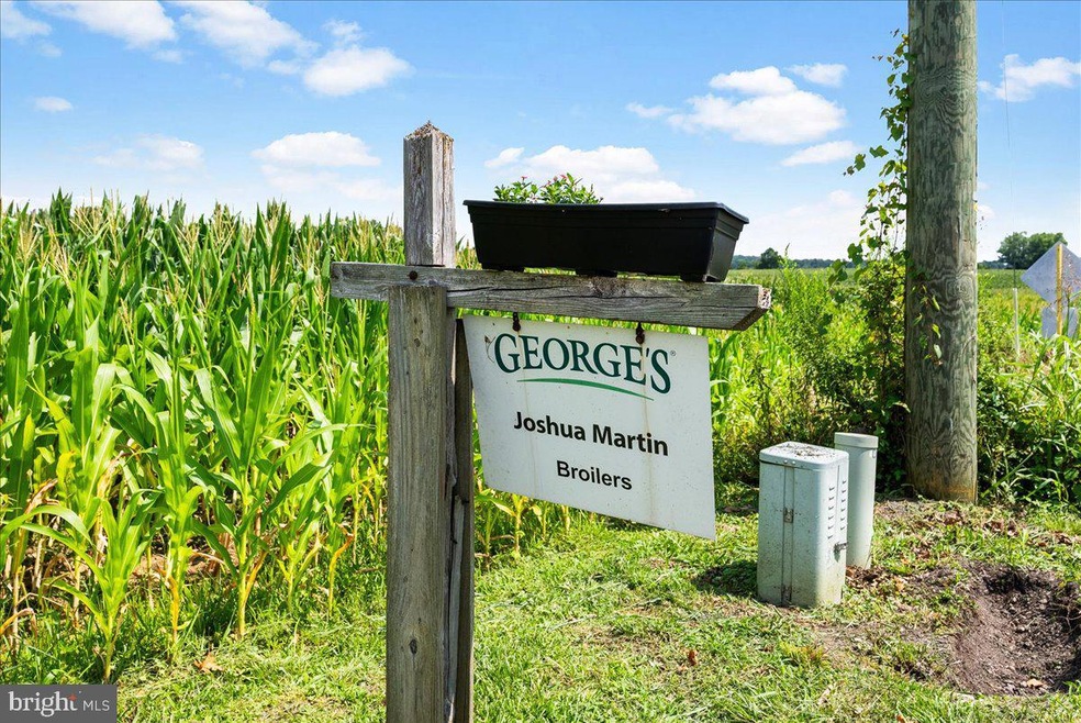 723 Wakemans Grove Rd, Edinburg, VA 22824 - photo 1