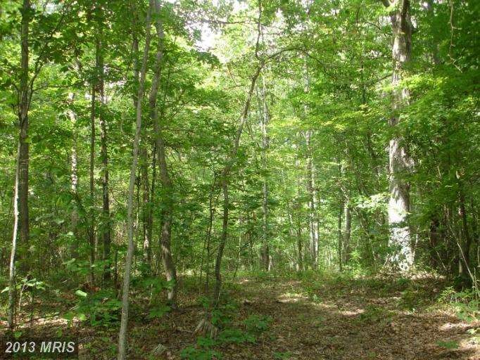 0 Eggbornsville Rd unit 1004090632, Rixeyville, VA 22737 - photo 1