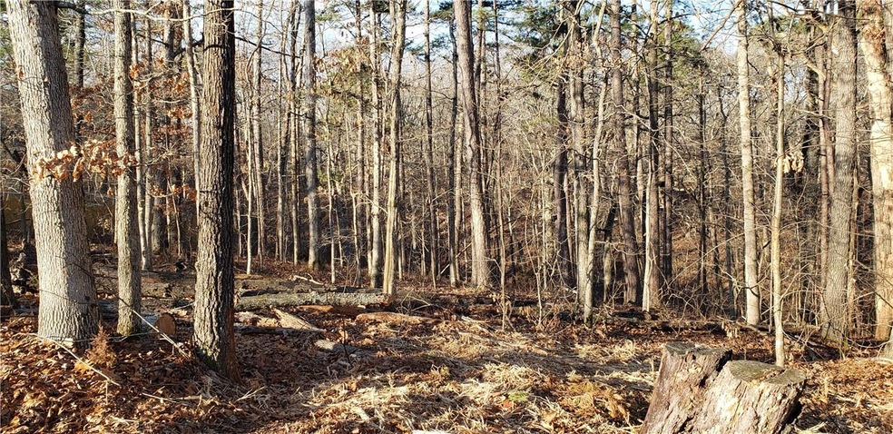 -- Kirkbridge Ln, Bella Vista, AR 72714 - photo 1