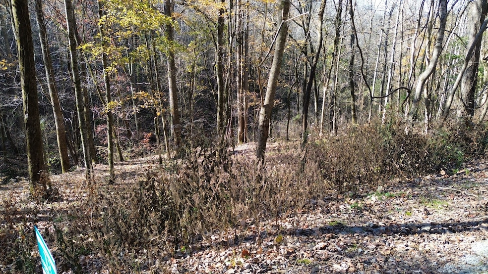 16 Lake View, Smithville, TN 37166 - photo 1