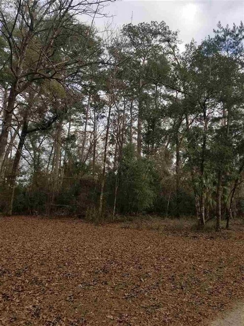 00 Marsue Dr, Crawfordville, FL 32327 - photo 1