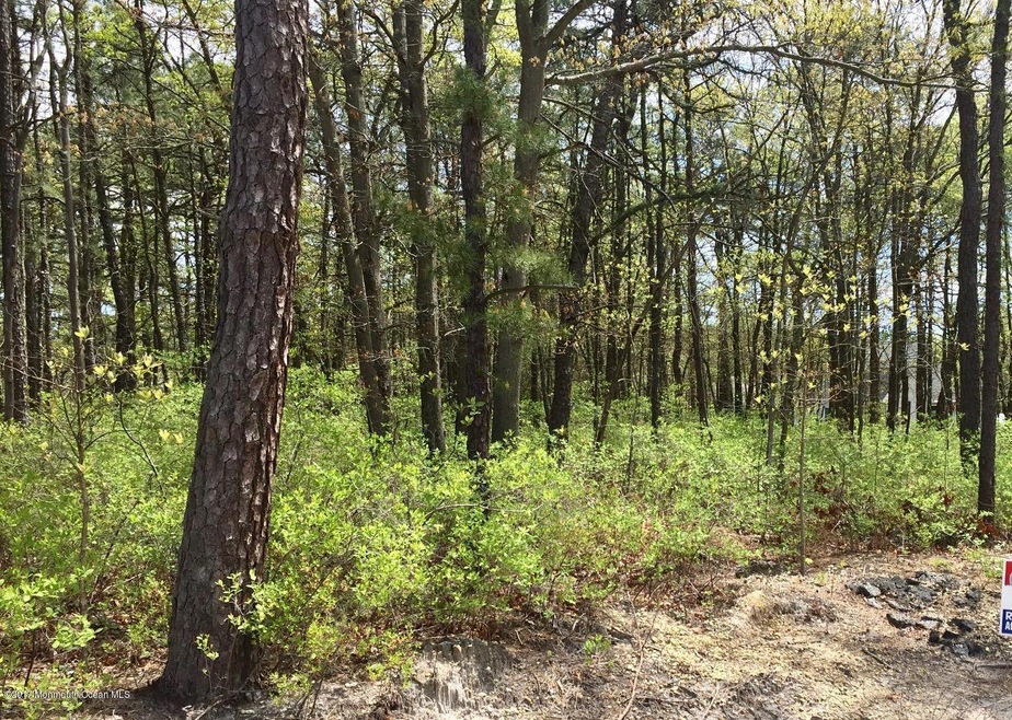 000 Mckinley Ave, Bayville, NJ 08721 - photo 1