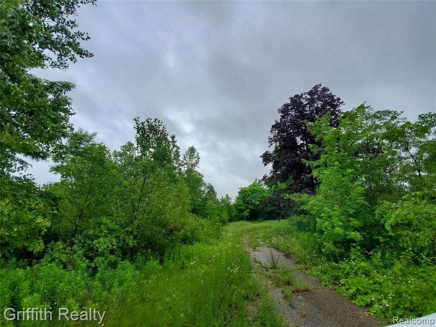 4125 Flint Rd, Brighton, MI 48114 - photo 1