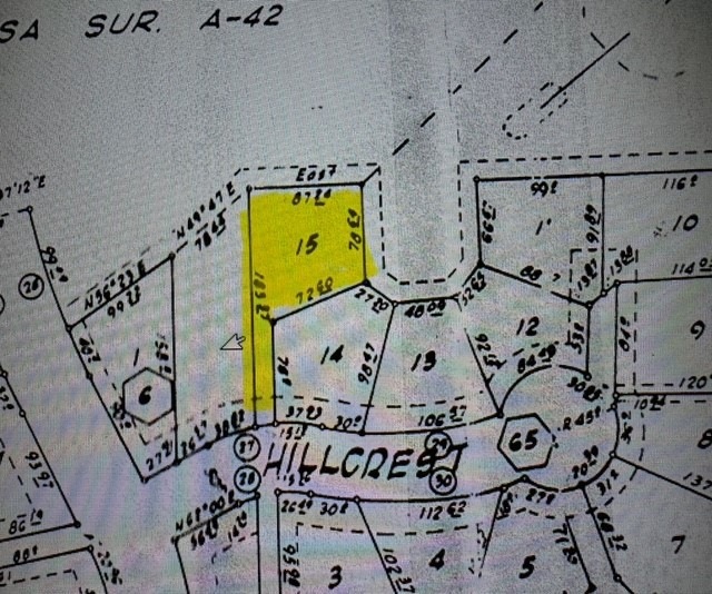 TBD Hillcrest, Trinity, TX 75862 - photo 1