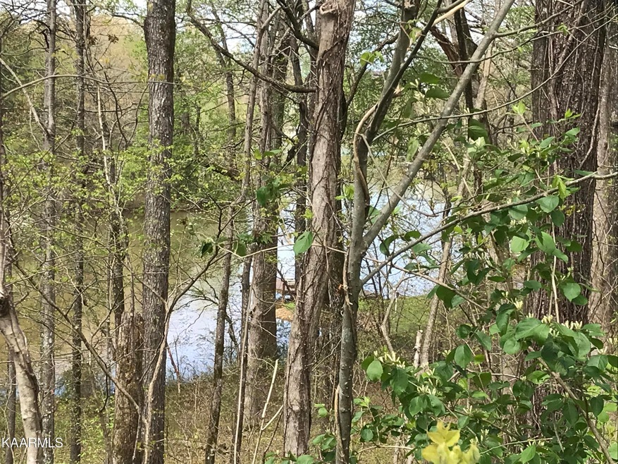 Lots 6-7 lake Sequoia Dr. Tellico Harbor