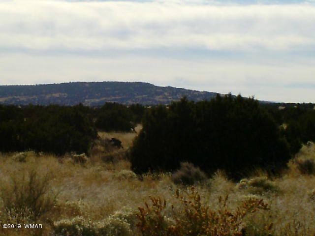 mountainview.28.4