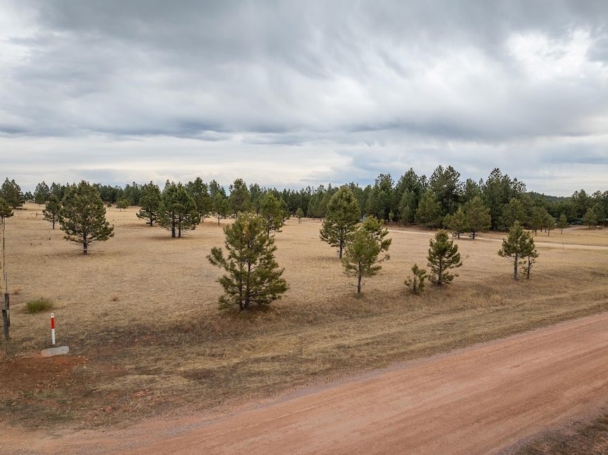 TBD Sundance Dr unit Tract 46: Lone Elk S, West Custer Township, SD 57747 - photo 1