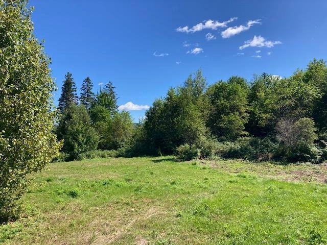 - Hollow Rd, Stewartstown, NH 03576 - photo 1