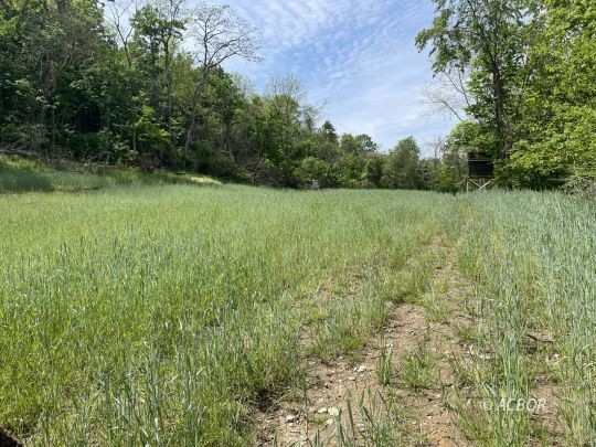 Foodplot 1