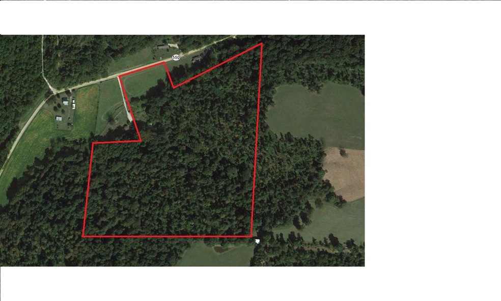 31.799 acres with easement from SR 550 and frontag