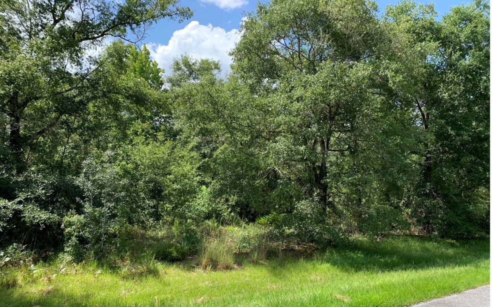 TBD Country Lake Dr, Lake City, FL 32055 - photo 1